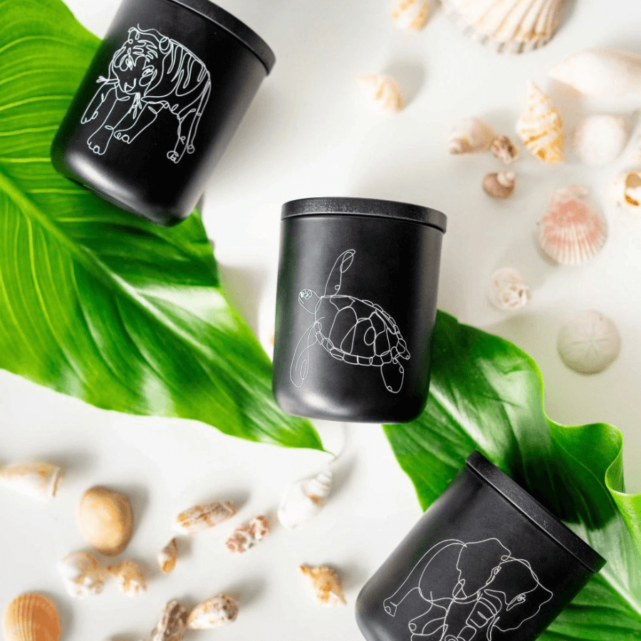 Candles & Diffusers