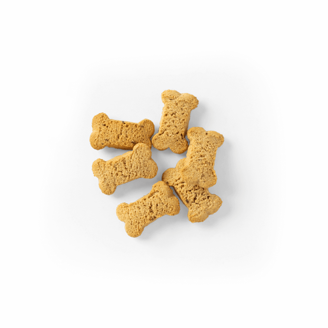 SavourLife Cheese Natural Dog Biscuits - Cheese Flavour 450g