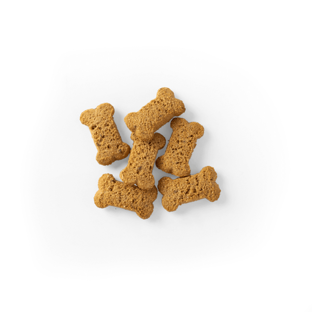 SavourLife Chicken Flavour Biscuit 500g - Natural Dog Treats