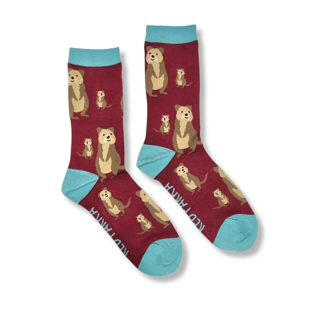 Red Parka Quokka Kids' Socks – Designed in Tasmania. Fun, colourful Quokka socks for kids, designed in Tasmania. Made from soft bamboo. 50% of profits support wildlife and environmental charities.