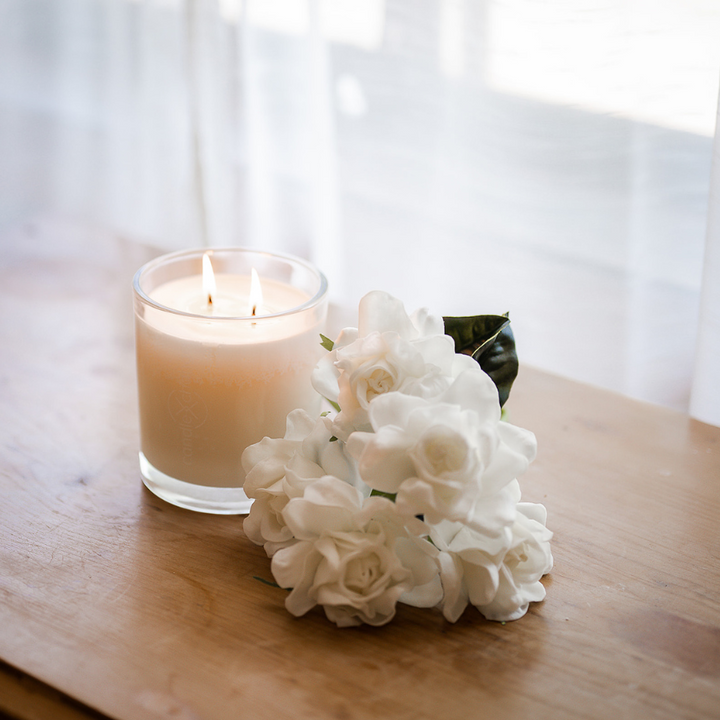 This gardenia-scented soy candle offers clean, organic burn up to 80 hours. Refill empty candle container to help light homes for domestic violence survivors.