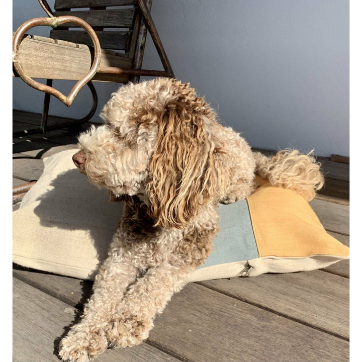 Soft, squishy, and sustainable! PLONK dog cushions are made ethically from natural jute, support artisans, and are perfect for pups—and humans too!