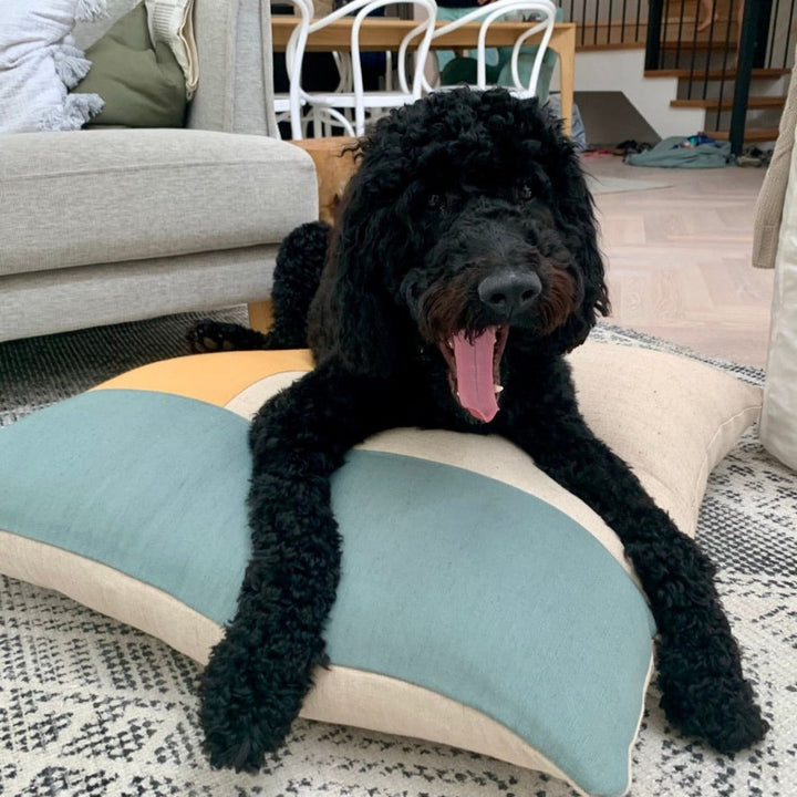 Soft, squishy, and sustainable! PLONK dog cushions are made ethically from natural jute, support artisans, and are perfect for pups—and humans too!