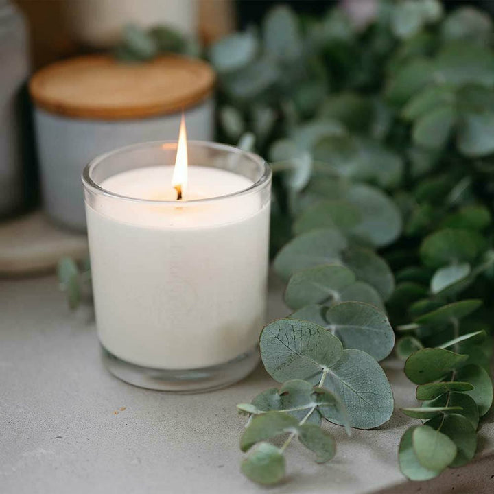 CandleXchange Australian Bush scented soy candle. Pure soy wax and cotton wicks create an even, clean, and safe burn for up to 80 hours.
