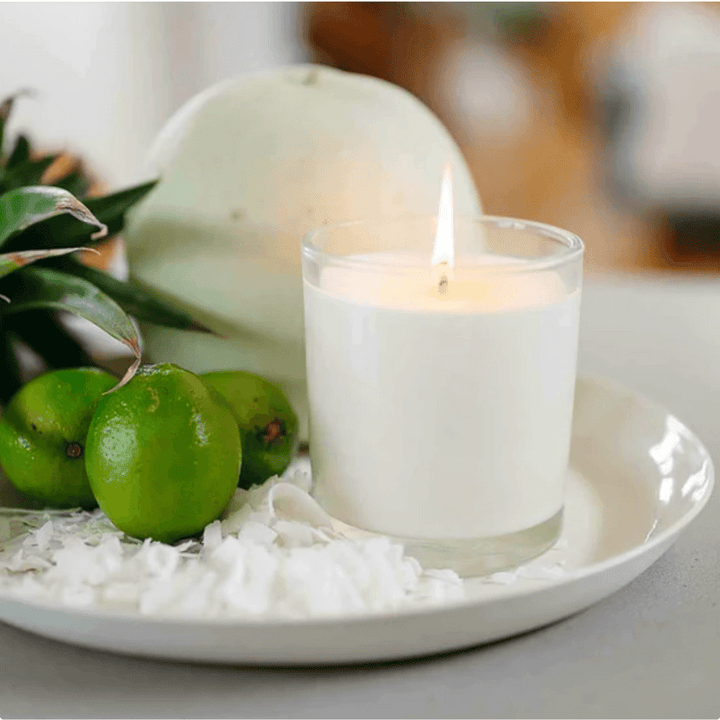 CandleXchange Lime & Coconut Soy Candle
