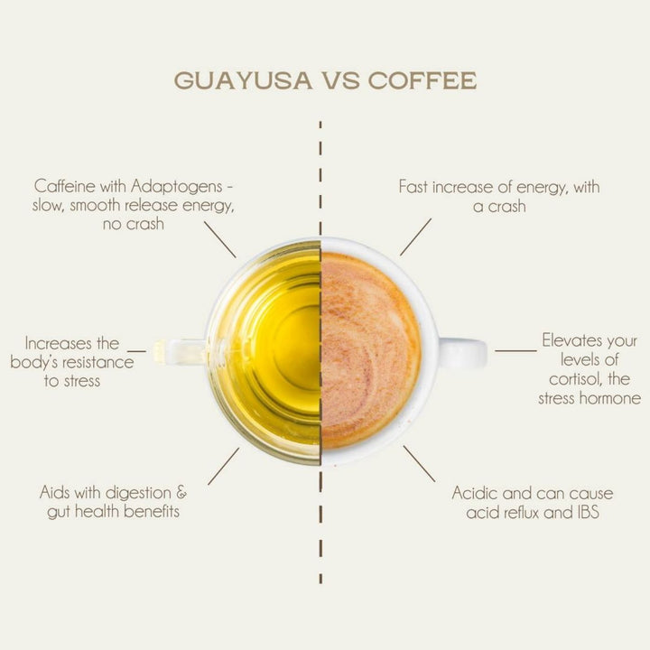 Guayasa versus Coffee. Start your day with Guayusa tea—clean, smooth energy without the crash. Organic, antioxidant-rich, and inspired by ancient healing traditions.