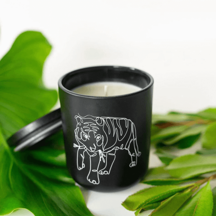 Karma Collective Tiger Cotton Wick Soy Candle - Wildlife Collection