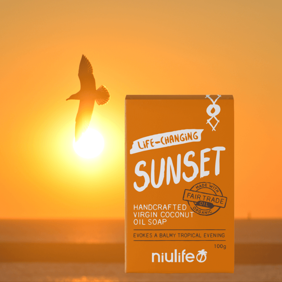 orange box with a sunset image and a bird flying in the background and the box contains virgin coconut oil soap with label showing that the oil is coconut is hand pressed and the oil changes lives of the people who make it where 100% of the profits are donated