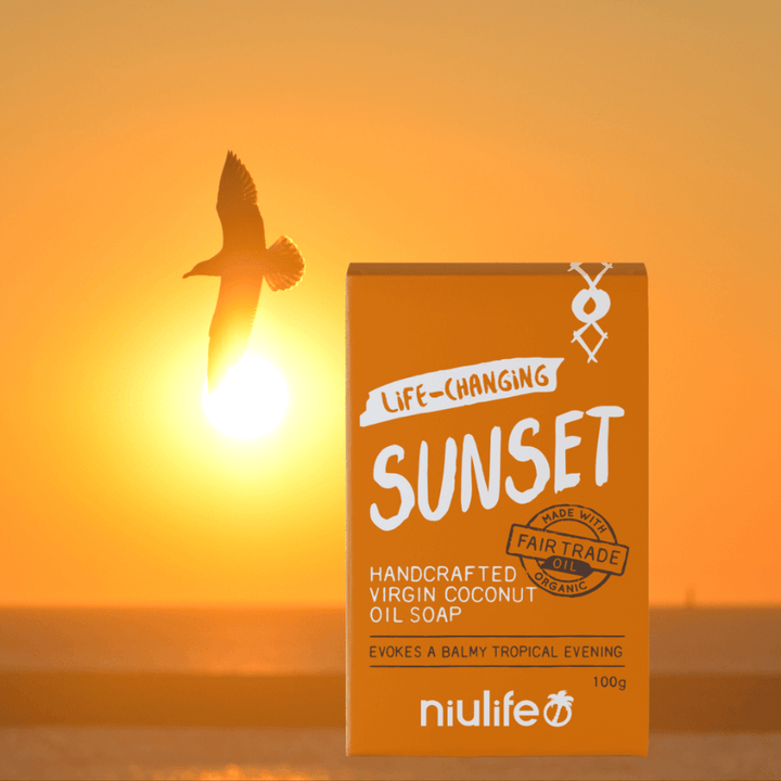 orange box with a sunset image and a bird flying in the background and the box contains virgin coconut oil soap with label showing that the oil is coconut is hand pressed and the oil changes lives of the people who make it where 100% of the profits are donated