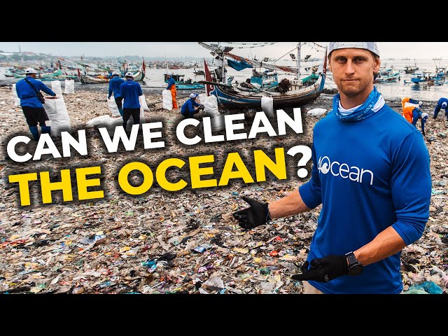 4ocean Sea Turtle Beaded Bracelet Limited Edition