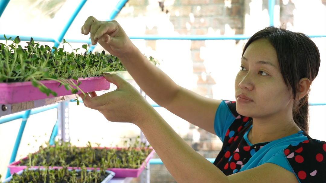 Eden Microgreens Project