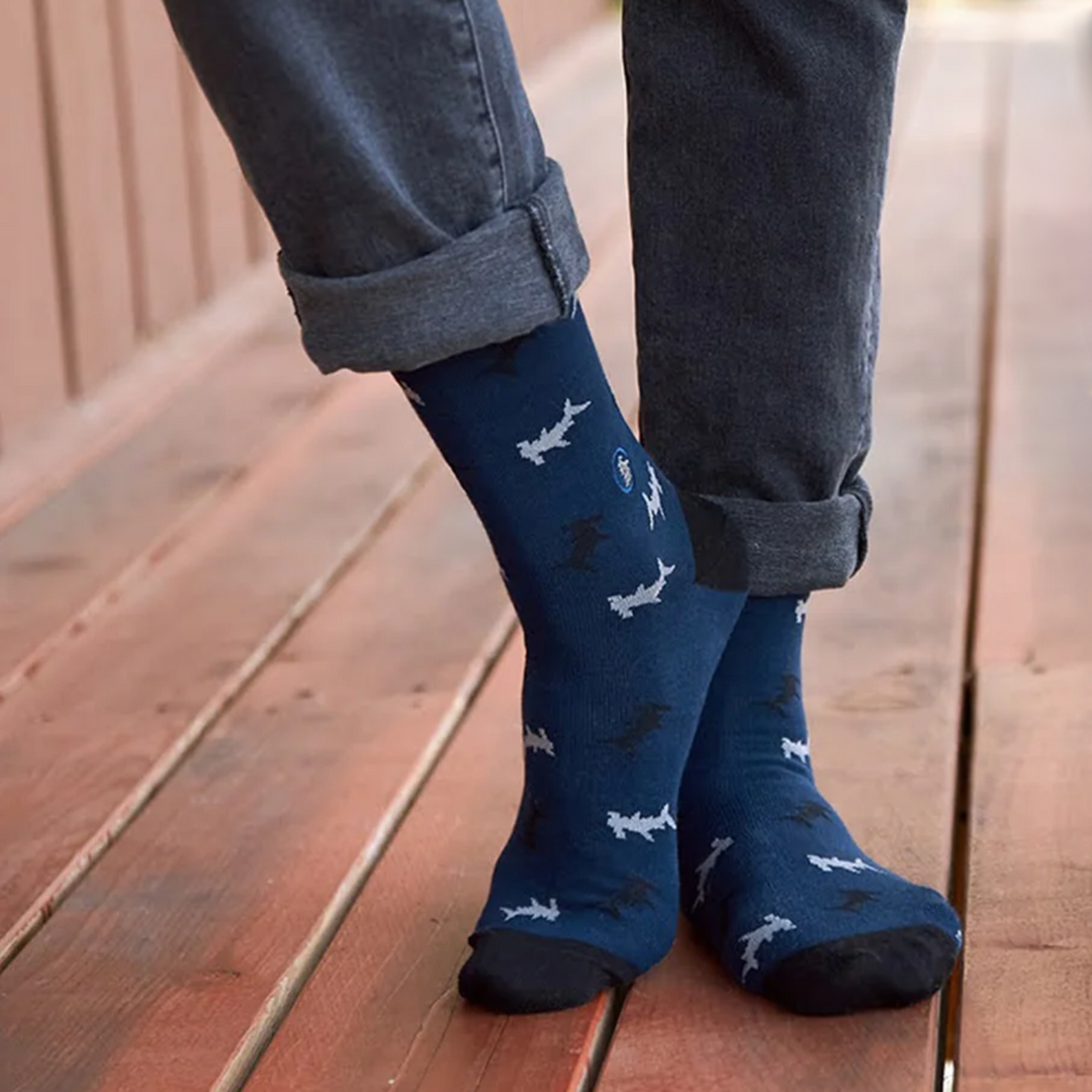 Shark Socks! Organic Fairtrade Socks that Protect Sharks